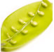 The Yoni Diet: A Womb Wellness Workshop
