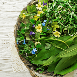 Raw & Living Foods For Beginners course- Part I